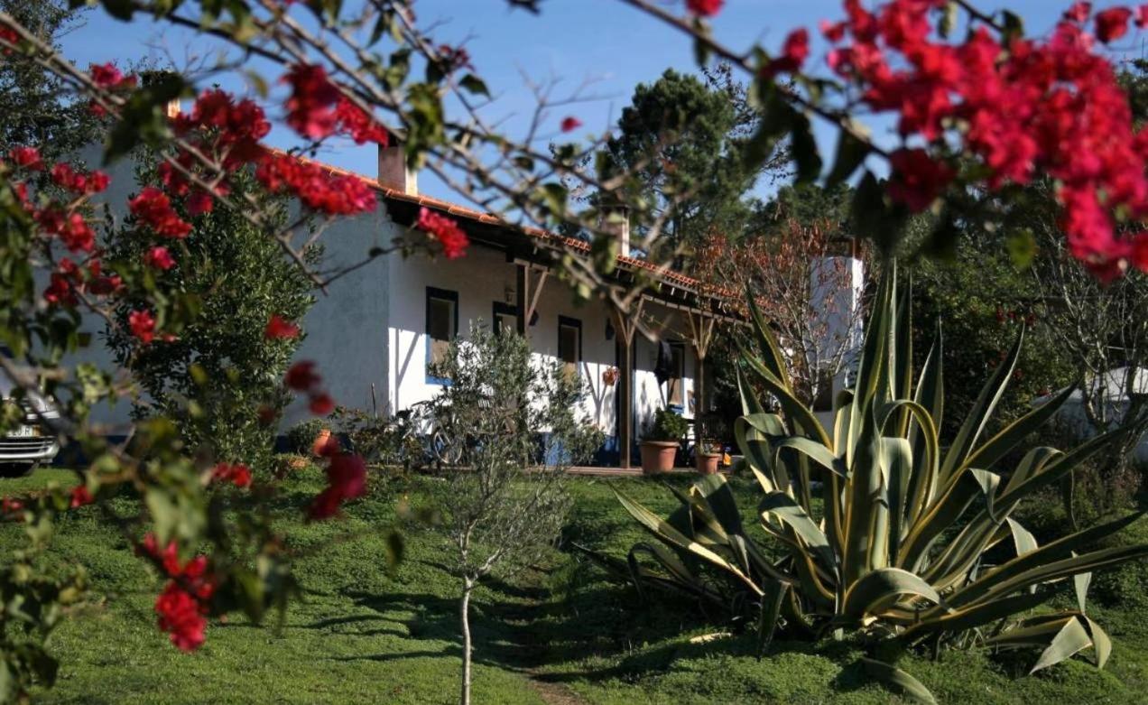 Monte Da Choca Guest House São Teotónio Exterior foto